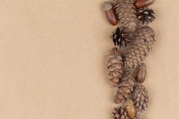 Autumn composition, frame made of pine cones, acorns and chestnuts. Flat lay, top view.