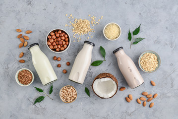 Assortment of  bottles with vegan milk