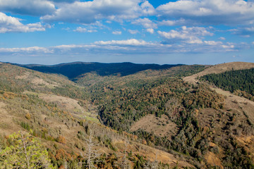 Beautiful mountain landscape, with mountain peaks covered with forest and a cloudy sky. Ukraine mountains, Europe