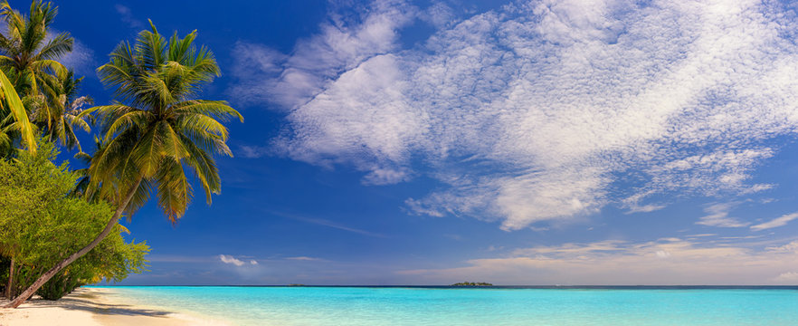 Beach panorama at Maldives with blue sky, palm trees and turquoise water