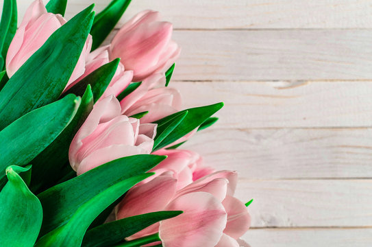 Background with bouquet of pink tulips on white wooden boards. Copy space. Top view. Toned image. Horizontal