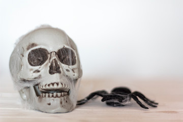 Skull with cobwebs and spider. Halloween theme