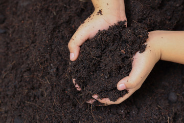 Closeup hand of child holding abundance soil for  for planting.
