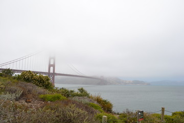 golden gate bridge in the fog