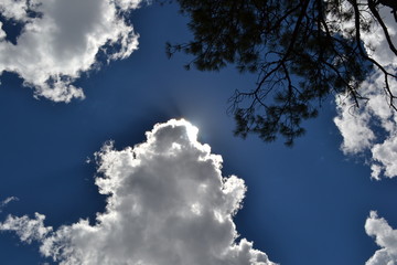 blue sky with clouds