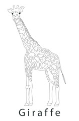 Giraffe logo template  icon design