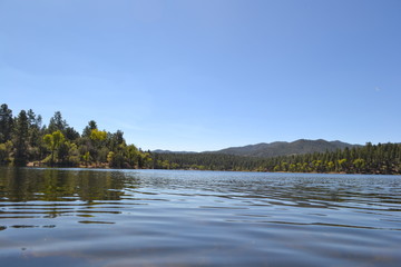 lake in deep forest