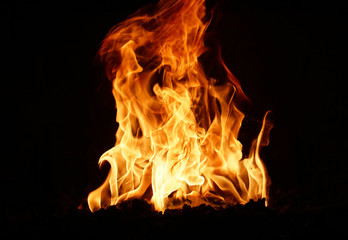 Fototapeta premium burning fire flame on the black background