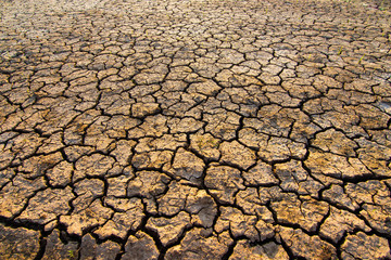 The land is dry and parched because of global warming.
