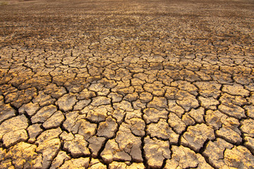 The land is dry and parched because of global warming.
