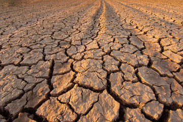 The land is dry and parched because of global warming.