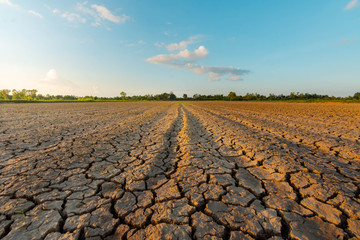 Fototapeta The land is dry and parched because of global warming. obraz