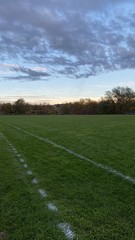 Obraz premium green field and blue sky