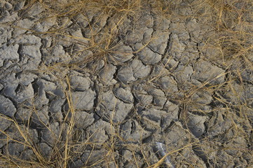 dry season with very arid terrain and little water broken soil virtually no vegetation