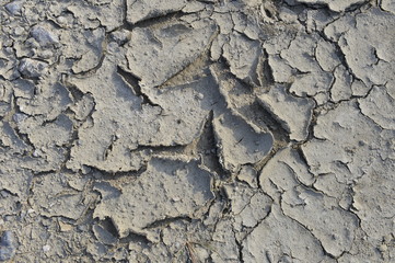 dry season with very arid terrain and little water broken soil virtually no vegetation