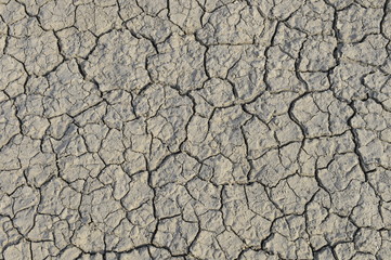 dry season with very arid terrain and little water broken soil virtually no vegetation