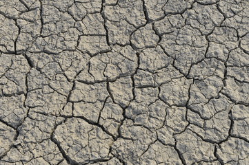 dry season with very arid terrain and little water broken soil virtually no vegetation
