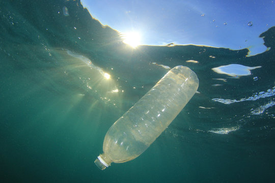 Plastic water bottle pollution in ocean 