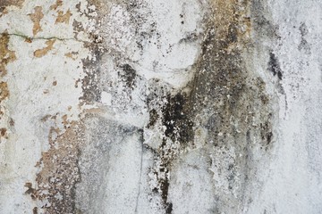 Old wall with water stains until moss.