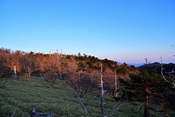 朝日に染まる大台ヶ原山の情景
