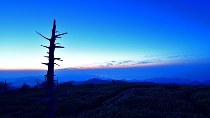大台ケ原山　正木峠から見た夜明け前の情景