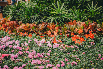 Flowers field background