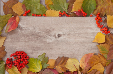 wooden background with colorful fall leaves arrangement. Copy space
