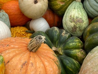 pumpkins and gourds