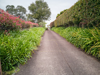 View of long straight concrete driveway in Howick suburb