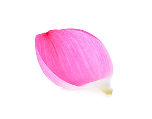 lotus flower lobe isolated on white background