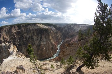 Obraz premium yellowstone