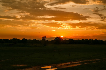 Fototapeta na wymiar Sunset in the Pantanal Wetlands, Mato Grosso, Brazil