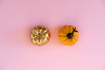 Two Pumpkins On Pink Background , Ornament For Thanksgiving. Flat Lay.