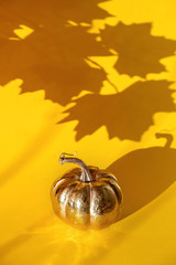 Golden pumpkin with a shadow from maple leaves on a yellow background.