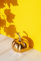 Golden pumpkin with a shadow from maple leaves on a yellow background.
