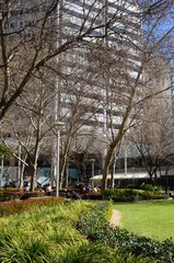 People relaxing in a park at Hay Street in Perth, Western Australia. 