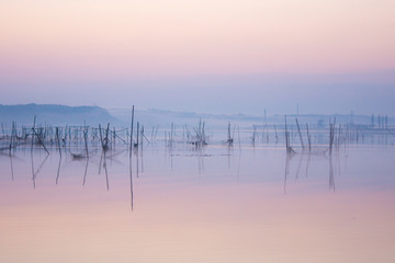 千葉 印旛沼 沼 湖沼 朝焼け 夜明け 早朝 幻想的 風景
