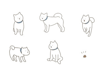 北海道犬セット