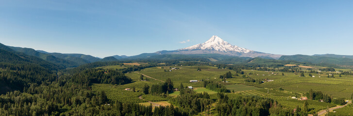 Aerial Panoramic View of American Landscape and Green Farm Fields with Mount Hood in the background. Taken in Oregon, United States of America.