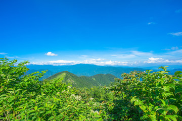 谷川岳 登山 トレッキング 避暑 高地 高原
