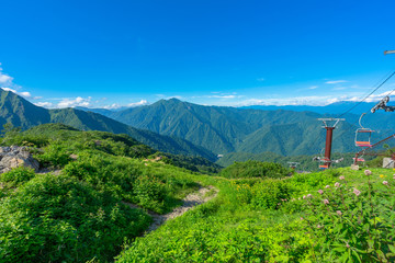 谷川岳 登山 トレッキング 避暑 高地 高原