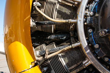 Plane Engine Cylinders