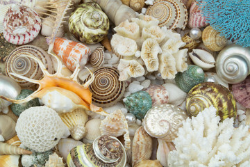 Ocean life and sea bottom concept