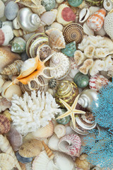 Many tropical seashells, corals and starfishes as background. 