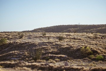 Desertic mountains with vegetation in clean and blue sky