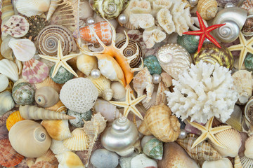 Tropical seashells, pearls, corals and starfishes mixed together. Sea life and ocean bottom concept for wallpapers and post cards.