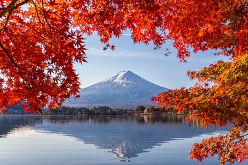 Wall murals Fuji Fuji Mountain in autumn with colorful maple leaves at Lake Kawaguchi, Yamanashi, Japan. Mount Fuji, Fujisan located on Honshu Island, is the highest mountain in Japan.