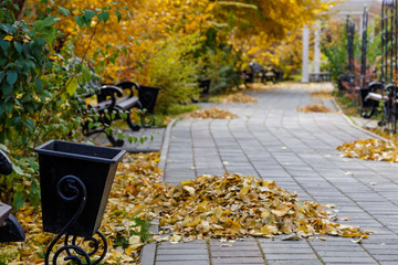 Autumn stone walkway in the park with fallen leaves, benches and urns