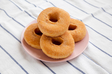 Homemade autumn apple-cinnamon donuts on a pink plate, low angle view. Close-up.