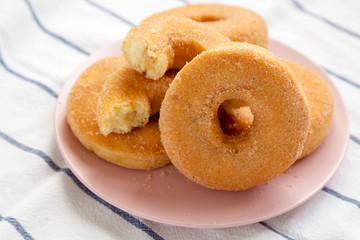 Homemade autumn apple-cinnamon donuts on a pink plate, low angle view. Close-up.
